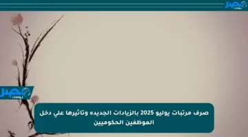 صرف مرتبات يوليو 2025 بالزيادات الجديدة وتأثيرها على دخل الموظفين الحكوميين